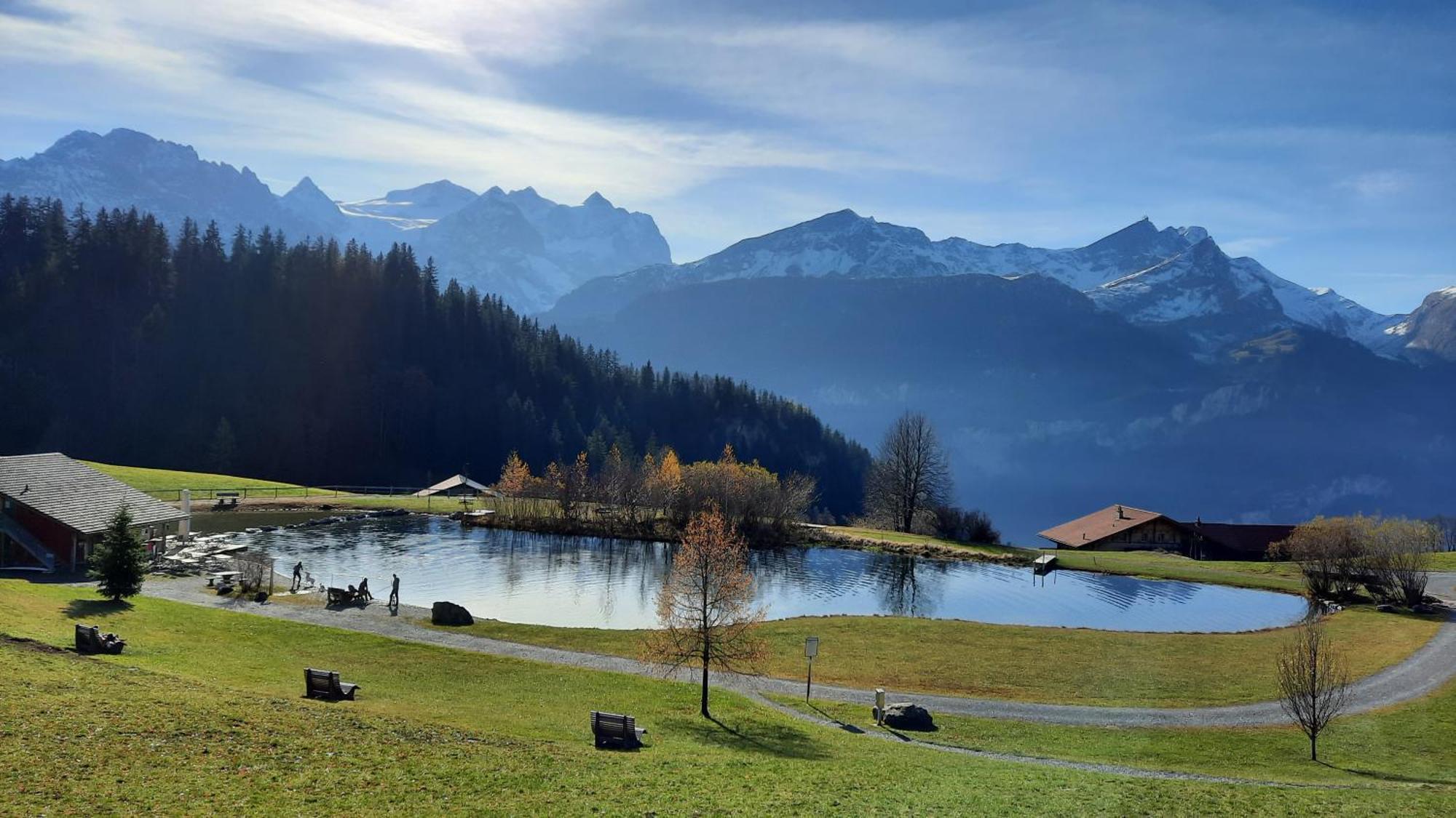 Chalet Blatti Хаслиберг Номер фото